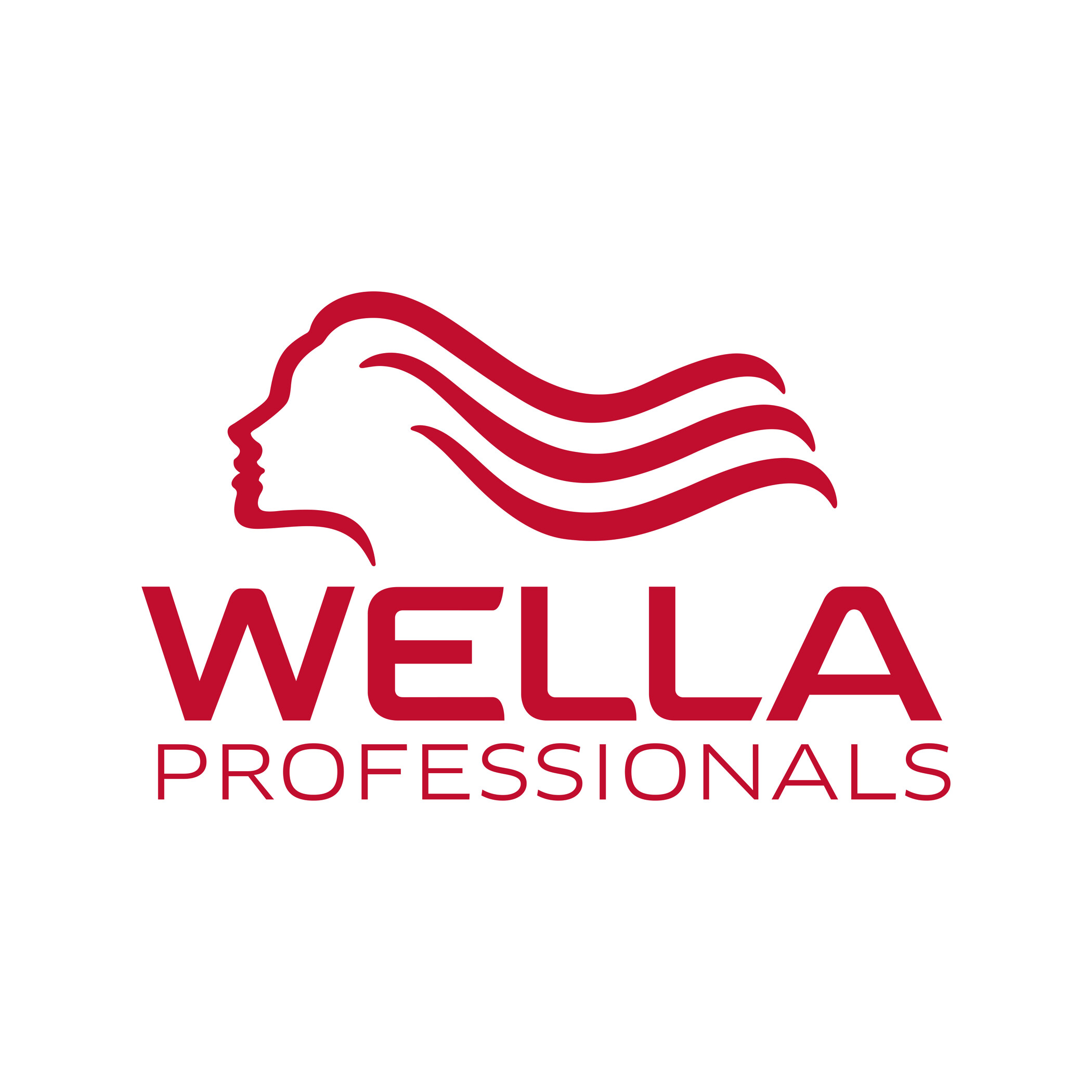 JPG HighRes WELLAProfessionals 200Clogo 2023 1