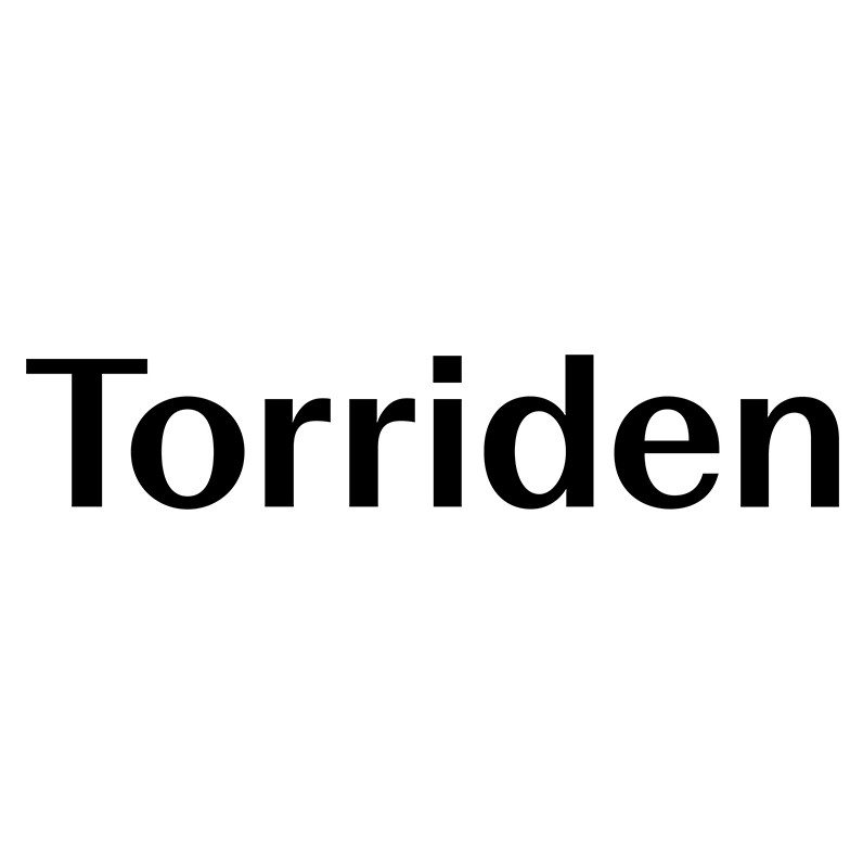 LOGO Torriden