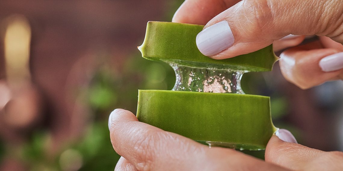 Beneficios del aloe vera