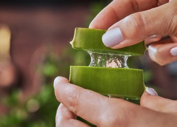 Beneficios del aloe vera