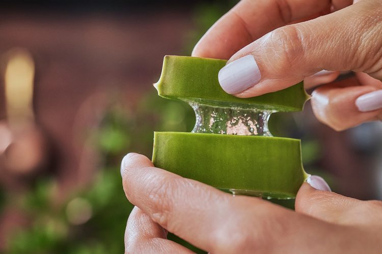 Beneficios del aloe vera