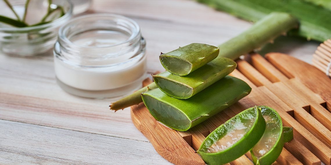 Mejores cremas con aloe vera