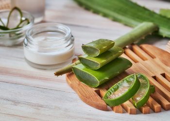 Mejores cremas con aloe vera