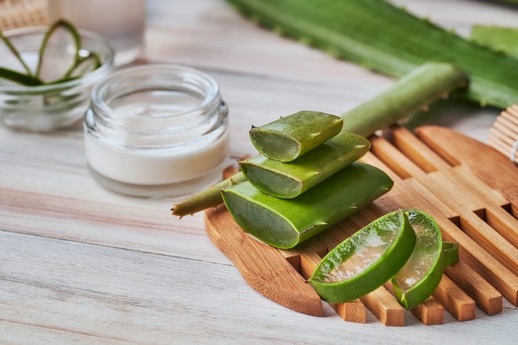 Mejores cremas con aloe vera