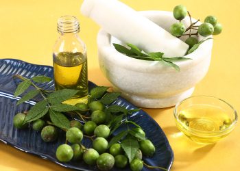 Aceite de neem: usos y productos