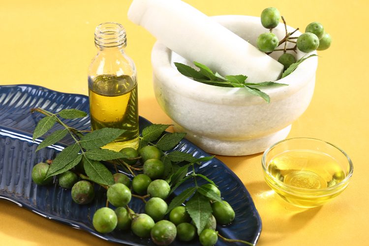 Aceite de neem: usos y productos