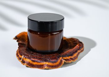 Descubre qué es el reishi y todo lo que puede ofrecerte