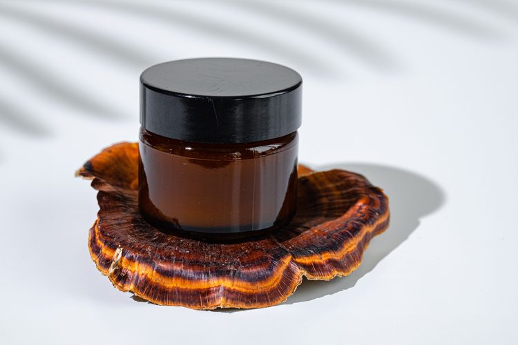 Descubre qué es el reishi y todo lo que puede ofrecerte