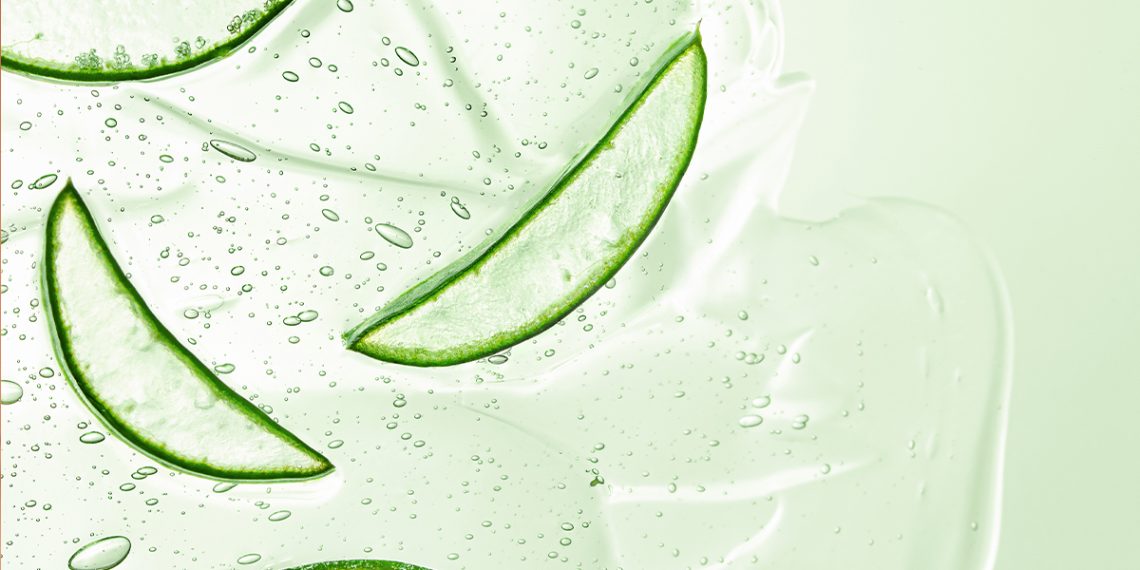 Te contamos los exfoliantes de aloe vera