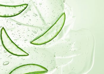 Te contamos los exfoliantes de aloe vera