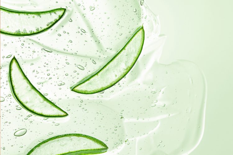 Te contamos los exfoliantes de aloe vera