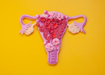 qué es el ciclo menstrual