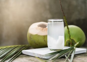 Te contamos todo lo que debes saber sobre el agua de coco.